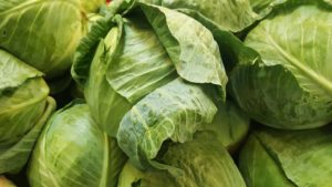 leafy vegetable-cabbage